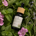 Herbs & Mint – Fresh Herbal Cooling